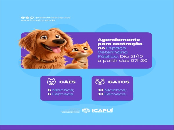 Sedema abre agendamento para castração de cães e gatos nesta segunda-feira, 21