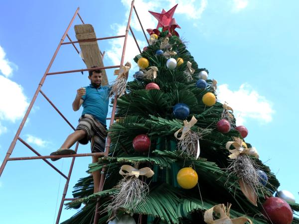 Árvore natalina ecológica começa a ser montada na Praça Central Adauto Róseo